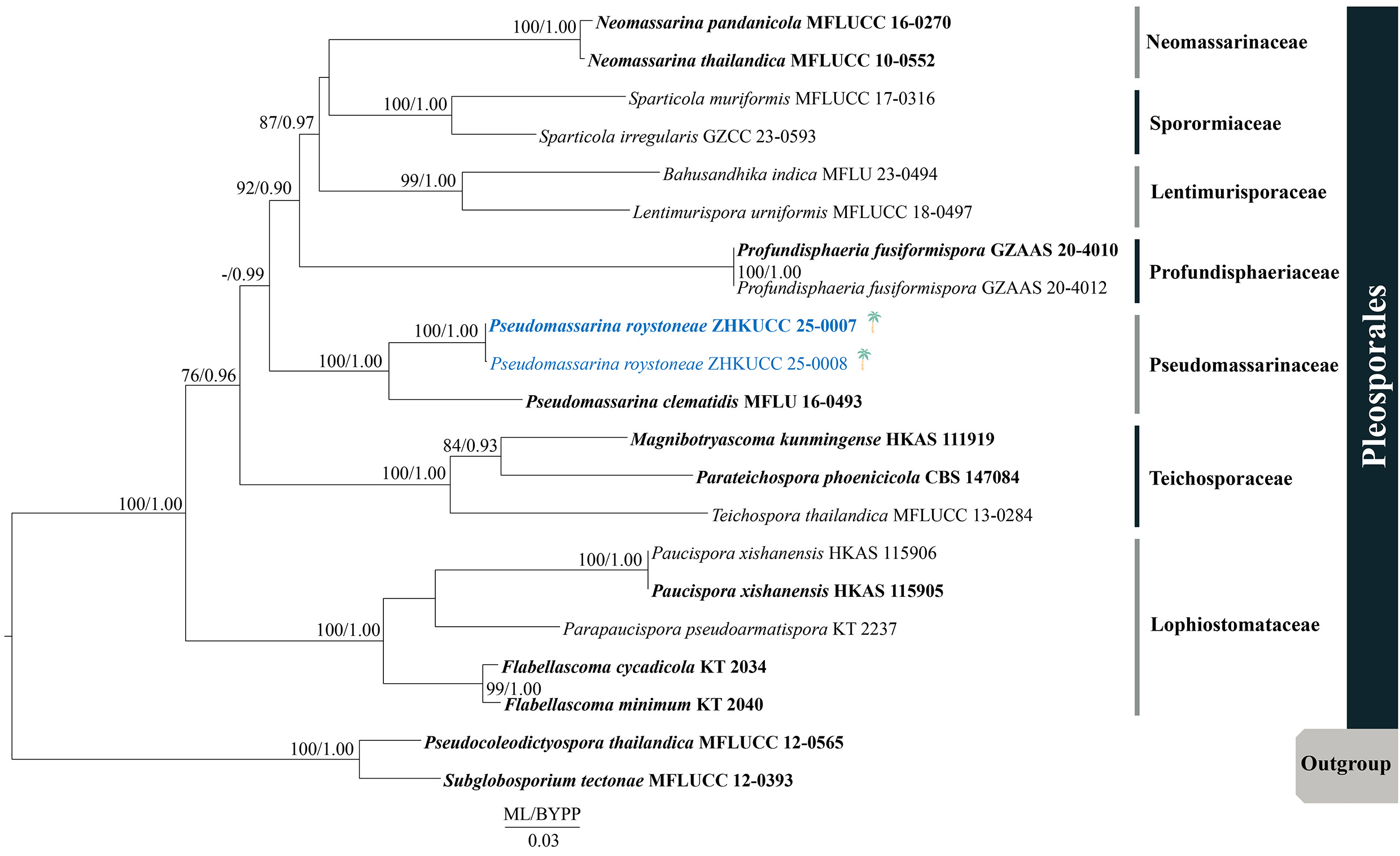Figure 46